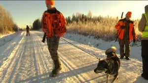 Yle Uutiset Lappi: Yle Uutiset Lappi 14-12-2017 Klo 17-06: 14.12.2017 16.50