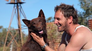 Red Dog (7): 15.12.2017 08.00