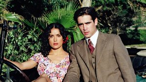 Tomu tietää (12): 15.12.2017 08.00