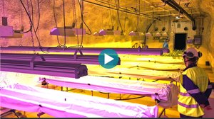 Yle Uutisluokka Triplet: Suomalaisen kaivoksen tunneleissa 660 metrissä kasvaa perunaa: 15.12.2017 10.50