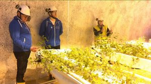 Yle Uutiset Pohjois-Suomi: Yle Uutiset Pohjois-Suomi 15-12-2017 Klo 17-06: 15.12.2017 16.33