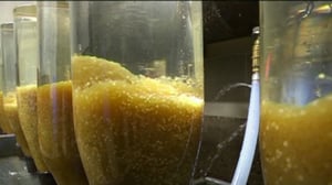 Yle Uutiset Häme: Yle Uutiset Häme 15-12-2017 klo 17-06: 15.12.2017 16.54