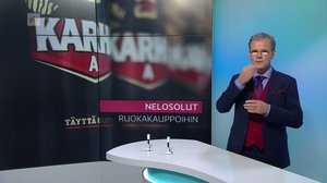 Yle Uutiset viittomakielellä: 15.12.2017 16.55