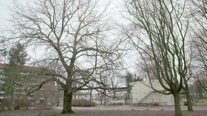 Musiikin voima: Magnus Lindberg: 18.12.2017 06.00