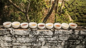 Historia: Taistelu teestä: 18.12.2017 19.00