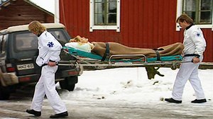 Metsolat (7): 19.12.2017 03.05