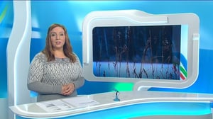 Yle Uutiset Pohjanmaa: Yle Uutiset Pohjanmaa 19-12-2017 Klo 18-22: 19.12.2017 17.39
