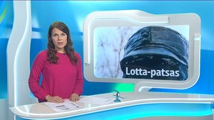 Yle Uutiset Häme: Yle Uutiset Häme 19-12-2017 Klo 18-22: 19.12.2017 17.51