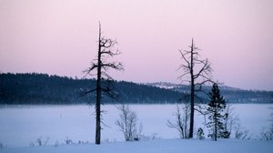 Maapallollinen joulua 1966: 20.12.2017 01.30