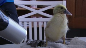 Norjaa ristiin rastiin: 24.12.2017 10.25