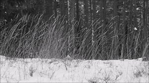 Oi maamme!: Mansikkamehua luontoäidin aitalla: 24.12.2017 17.00