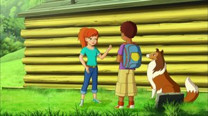 Lassie (7): 26.12.2017 08.46