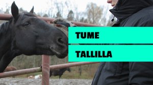 Tume oikeissa töissä: Hevostallilla: 28.12.2017 00.01