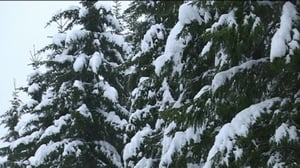 Yle Uutiset Itä-Suomi: Yle Uutiset Itä-Suomi 29-12-2017 Klo 17-06: 29.12.2017 17.01