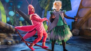 Pikku Pörriäinen (S): 29.12.2017 18.00