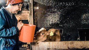 Toivola (S): 30.12.2017 00.01