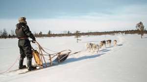 Luonto sisälläni (S): 31.12.2017 00.01