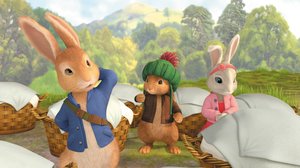 Petteri Kaniini (S): 02.01.2018 08.03