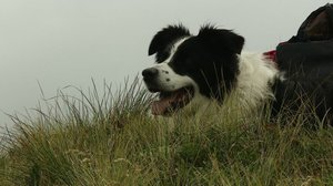 Näin Norjassa: 02.01.2018 14.47