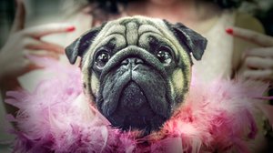 #lovemilla (12): 02.01.2018 15.30