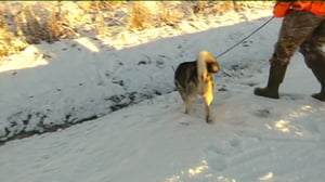 Yle Uutiset Lappi: Yle Uutiset Lappi 02-01-2018 Klo 17-06: 02.01.2018 16.47