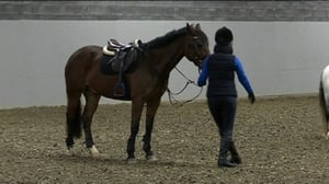 Yle Uutiset Itä-Suomi: Yle Uutiset Itä-Suomi 03-01-2018 Klo 17-06: 03.01.2018 16.46