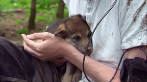 Elämäni eläimet: 05.01.2018 14.10