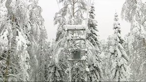 Yle Uutiset selkosuomeksi: 08.01.2018 15.05