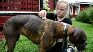 Unelmajuttu: 08.01.2018 18.00