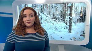 Yle Uutiset Uutis-Suomi: Yle Uutiset Uutis-Suomi 08-01-2018: 08.01.2018 18.42