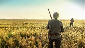 Riistametsällä: 09.01.2018 12.00