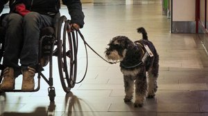 Elämäni eläimet: 12.01.2018 13.00