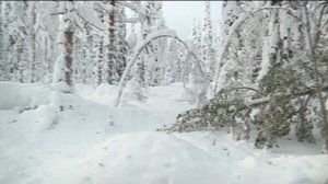 Yle Uutiset Pohjois-Suomi: Yle Uutiset Pohjois-Suomi 12-01-2018 Klo 17-06: 12.01.2018 16.35