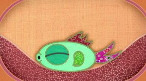 Tilkkupeiton tarinoita (S): 13.01.2018 07.47