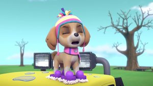 Ryhmä Hau (S): 14.01.2018 07.53