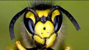 Maapallottelua: 18.01.2018 18.00