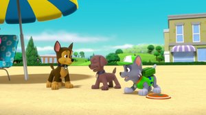 Ryhmä Hau (S): 21.01.2018 07.53