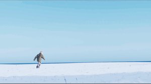 Dok: When you look away: 21.01.2018 22.00