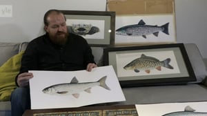 Luonto lähellä: Mistä tunnistaa kalat?: 22.01.2018 09.16