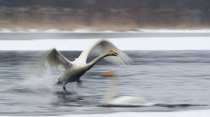 Tarinoita järviltä: 22.01.2018 19.55