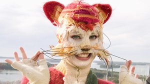 Katinkontti: 23.01.2018 06.59