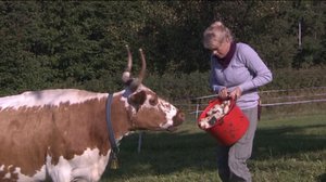 Näin Norjassa: 23.01.2018 16.15