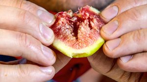 Ruokaratsia: 24.01.2018 16.50