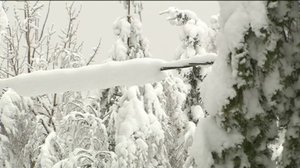 Yle Uutiset Pohjois-Suomi: Yle Uutiset Pohjois-Suomi 24-01-2018 Klo 17-06: 24.01.2018 16.57