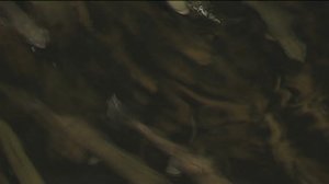 Yle Uutiset Itä-Suomi: Yle Uutiset Itä-Suomi 25-01-2018 Klo 17-06: 25.01.2018 16.43