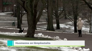 Yle Uutiset Uusimaa: Yle Uutiset Uusimaa 25-01-2018 klo 18-22: 25.01.2018 19.22