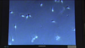 Yle Uutiset Itä-Suomi: Yle Uutiset Itä-Suomi 26-01-2018 Klo 17-06: 26.01.2018 16.29