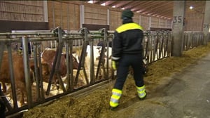 Yle Uutiset Häme: Yle Uutiset Häme 29-01-2018 klo 17-06: 29.01.2018 16.23