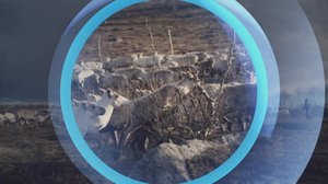 Oddasat: 29.01.2018 22.00