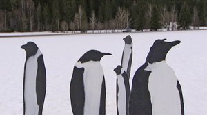 Norjaa ristiin rastiin: 31.01.2018 06.18